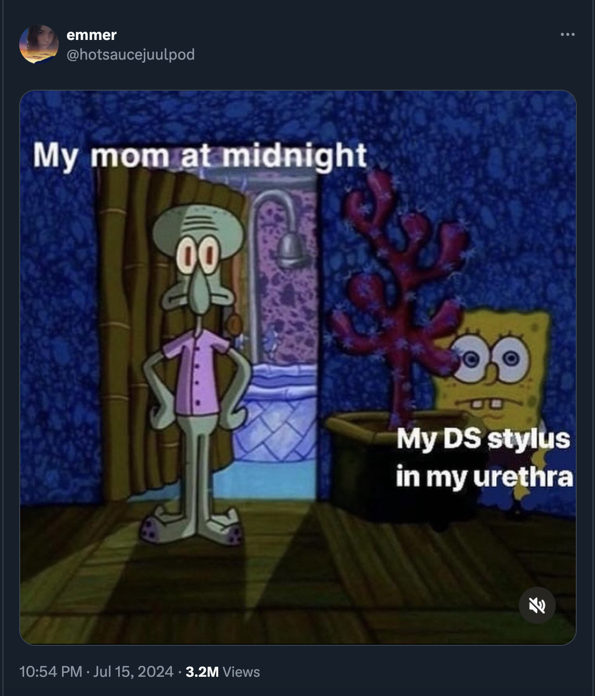 hiding reaction meme - emmer My mom at midnight 00 3.2M Views My Ds stylus in my urethra